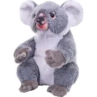 Sonstige Verlage Knuffel Artiest Koala, 38 cm