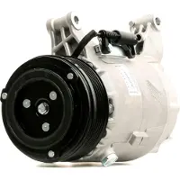 Delphi TSP0155308 Aircopomp