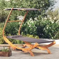 Prolenta Maison Exclusive - Ligbed met zonnedak, 100x190x134 cm, massief hout, antraciet