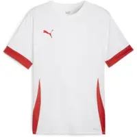Puma Functioneel shirt 'TeamGoal Matchday' rood / wit