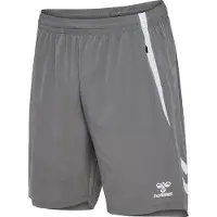Hummel Sportbroek 'Lead 2.0' grijs / wit