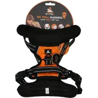 Spotted! Pro Harnas Oranje XS