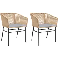 vidaXL Tuinstoelen 2 st met kussens poly rattan bruin