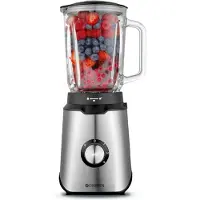 Champion Mixer, 1,5 liter, 600W, glazen kan, roestvrij staal, model BL310