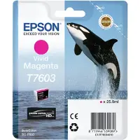 Epson Inktcartridge C13T76034010 Vivid magenta
