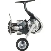 Daiwa Certate G 24 Sw Spinning Reel Zilver 4000H
