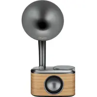Sangean Radio DAB+ CP100DLG