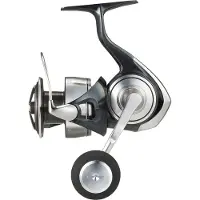 Daiwa Certate G 24 Sw Spinning Molen