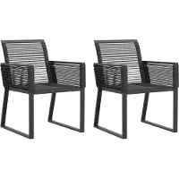 vidaXL Tuinstoelen 2 st poly rattan zwart