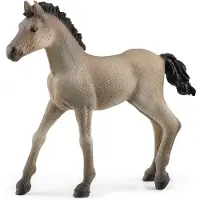 Schleich Horse Club Paarden 2022, Realistische Paardenspeelgoed voor Kinderen, Criollo Foal Beeldje, Leeftijd 5+