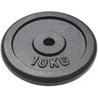vidaXL Halterschijven 2 st 2x10 kg gietijzer