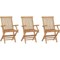 Syfax Klapstoelen 3 stuks van massief teakhout