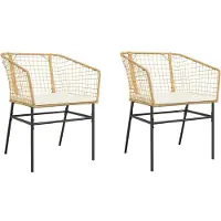 vidaXL Tuinstoelen 2 st met kussens poly rattan bruin
