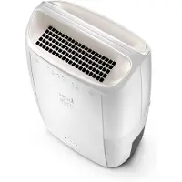 De'Longhi Luchtontvochtiger DEX210SF