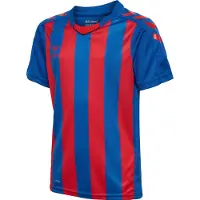Hummel Functioneel shirt blauw / rood
