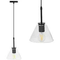 Toolight Hanglamp APP1178-1CP