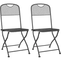 vidaXL Tuinstoelen inklapbaar 2 st metaalgaas antracietkleurig
