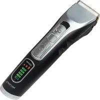 Comair Black Eagle Clipper