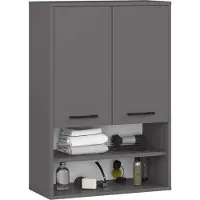 Akord Hangende Badkamerkast FIN H934 W64 met 2 Deuren en 4 Planken / Furniture Factory / Grafietgrijs / 64 x 94 x 30 cm