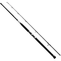 Shimano Fishing 25grappler Type C Spinning Rod Zilver 2.49 m / 200 g
