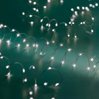 Spetebo 1.01 Batterij-aangedreven lichtketting met functies - 100 LED's / 5 meter - Zilverkleurige draad. Geschikt voor binnen- en buitengebruik. Lichtkleur: koud wit