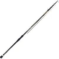 Shimano Fishing Beastmaster Te Boat Li Dr Bottom Shipping Rod Goud 4.00 m / 5-50 g