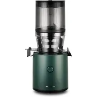 Hurom LS H320N Slowjuicer Groen - Groenten en Fruitpers