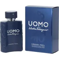 Salvatore Ferragamo Herengeuren Uomo Urban Feel Eau de Toilette Spray 100 ml