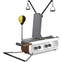 Kingsmith FBB1C multifunctionele trainingsbank