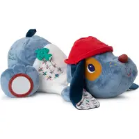 Lilliputiens Jules Big Discovery Dog Teddy Veelkleurig Kinderen