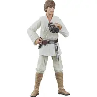 Hasbro Star Wars Een Nieuwe Hoop Luke Skywalker Figuur 15 Cm
