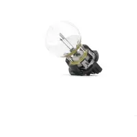 Philips PW16W lamp, 12V/16W, WP3,3X14,5/4, helder