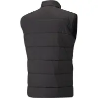 Puma Teamliga Vest