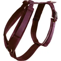 Kentucky Dog Harness Active Velvet