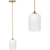 Toolight Hanglamp APP1169-1CP