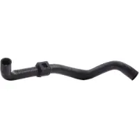 FEBI BILSTEIN 170980 Radiateurslang