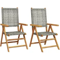 vidaXL Tuinstoelen 2 st massief acaciahout en poly rattan grijs
