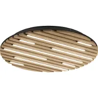 Paul Neuhaus Ronde plafondlamp Q-Akustik Ø 60cm hout