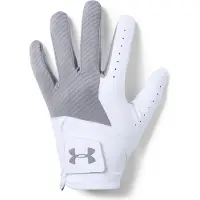 Under Armour Medal Golfhandschoenen, Staal (035)/Staal, Rechterhand X-Large