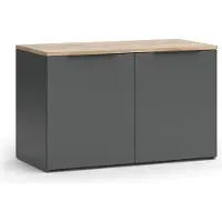 Vicco Wido Dressoir – 80 x 50 cm met 2 deuren Antraciet