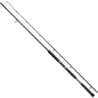Shimano Fishing Forcemaster Ax Lure Catfish Rod Zilver 2.70 m / 200 g