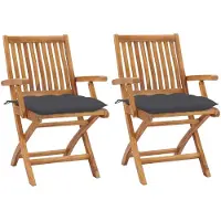 Syfax Inklapbare stoelen 2 st met antracietkleurige kussens