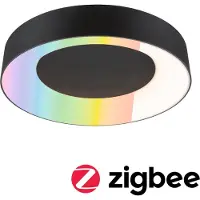 Paulmann Smart LED plafondlamp Casca zwart Ø40cm RGBW IP44 Casca, dimbaar, zwart, Woon-/ Eetkamer, metaal, Modern, plafondlamp