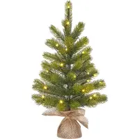 Black Box Trees Kunstkerstboom Nagoya H60 x D44cm - Kunstboom in Jute Zak - Kunst Kerstboom voor Binnen - 50 Tips - Groen