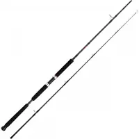 Shimano Fishing Vengeance Ax Pilk Jigging Rod Zilver 2.70 m / 70-140 g