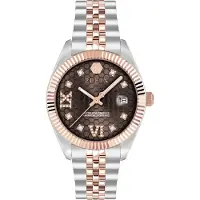 Philipp Plein Watches Analoog horloge kastanjebruin / goud / zilver / transparant