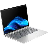 HP Probook 4 G1a (C07P5ES) (zilver, AMD Ryzen 5 230, AMD Radeon 760M, 24 GB DDR5, 1 TB (1 TB SSD), zonder besturingssysteem)