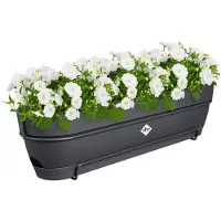 Elho Balkonbak Vibia Campana Allin1 Antraciet 70cm