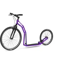 Yedoo Scooter Tulu, een driewieler met luchtbanden (26/20)