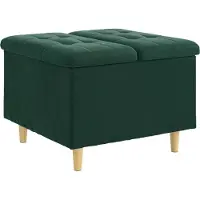 vidaXL Ottoman met opslag Donkergroen 60 x 60 x 45 cm Fluweel